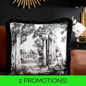 Vista Monochrome Velvet Cushion