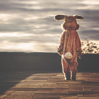 Lone Rabbit