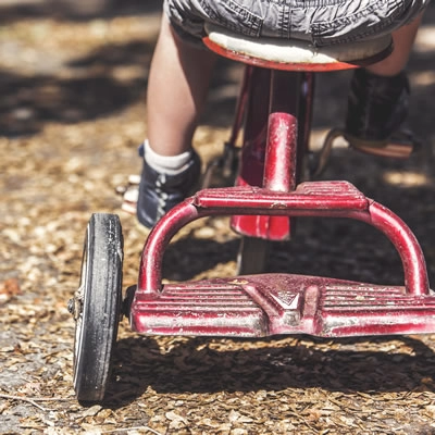 Rustic Tricycle
