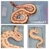 1.0 VPI Stripe Het T+ Albino