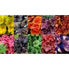 6 Heucheras for Sun/Shade