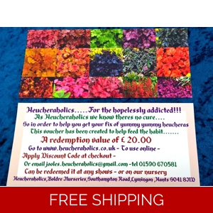 Gift Voucher