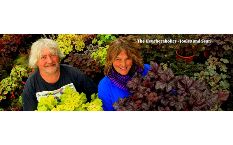 The Heucheraholics