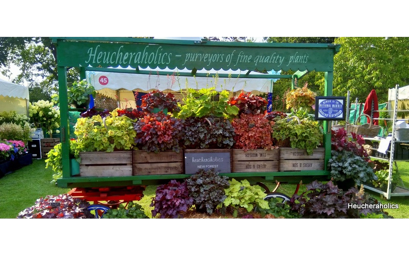 Wisley Flower Show 2018