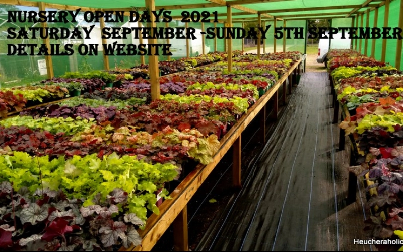 Nursery Open Days - June 4th /June 5th  Details can be found on website 