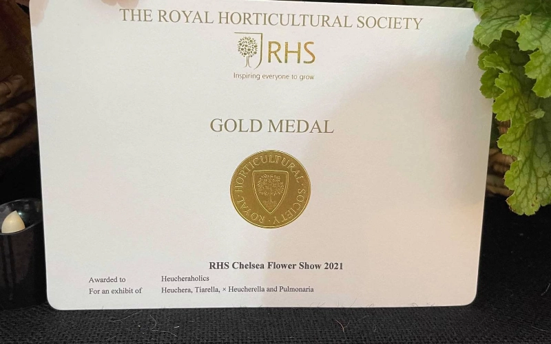 Chelsea Flower Show 2021 Gold Medal