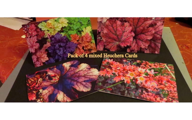 Heucheraholics Greetings Cards