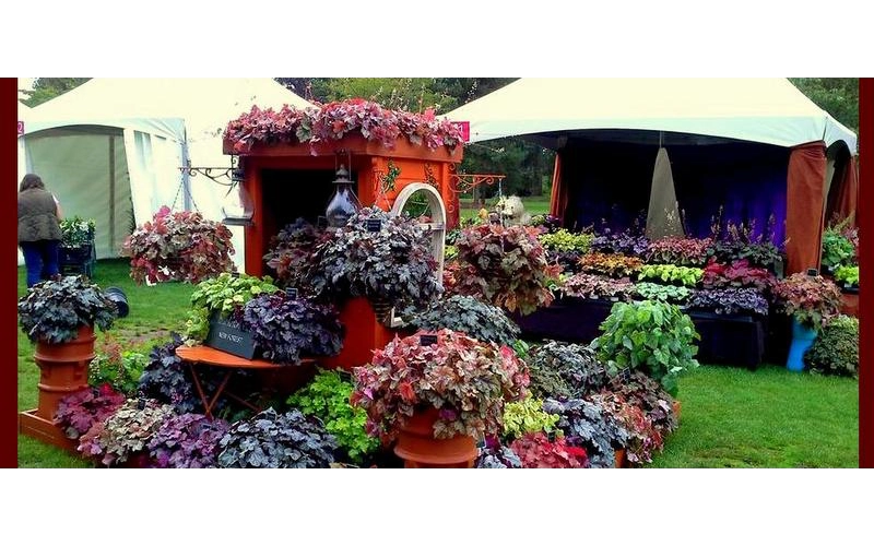 Nursery Open Days Sept 5th-6th 2020