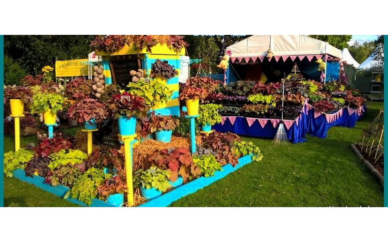Wisley Flower Show 2016