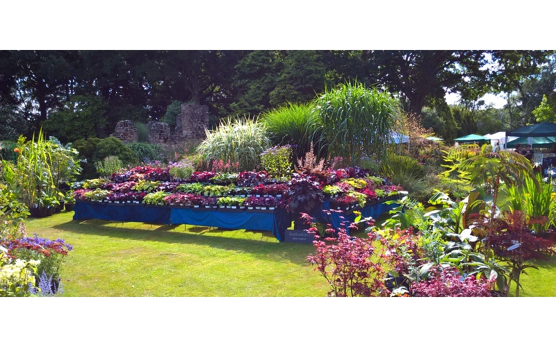 Great Comp Garden Show