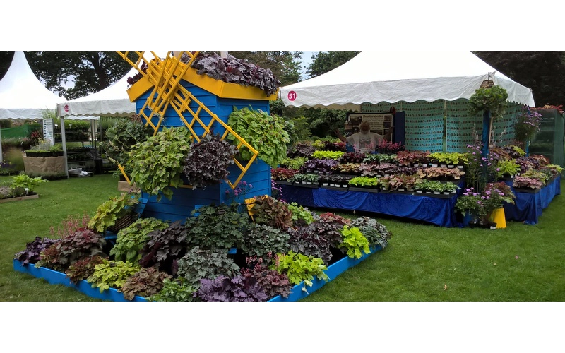 Wisley Flower Show 2016