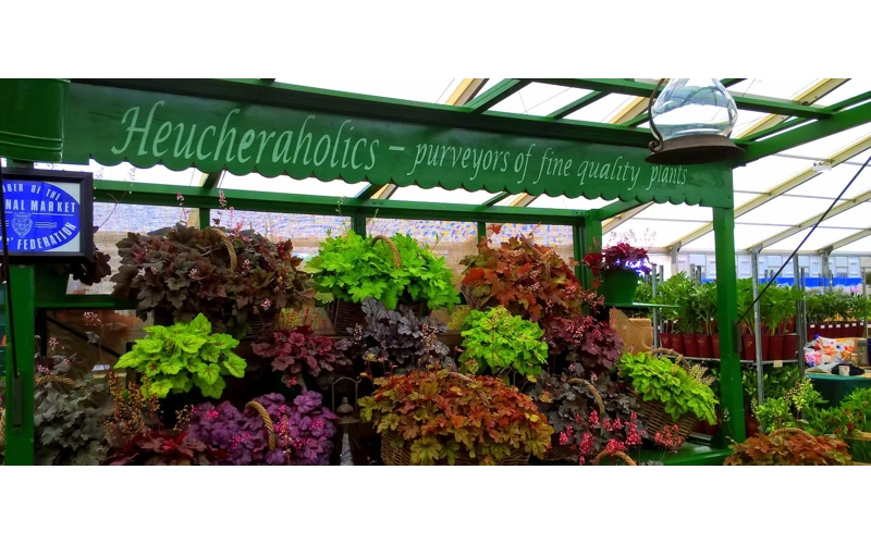 Hampton Court Flower Show 2017