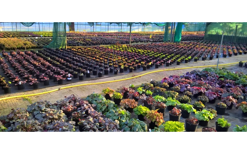 Feb 2018 - Spring is coming..