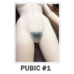 Pubic Hair