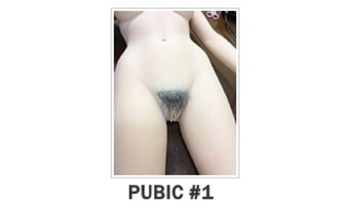 Pubic Hair
