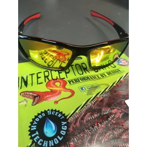 Polarized Sunglasses