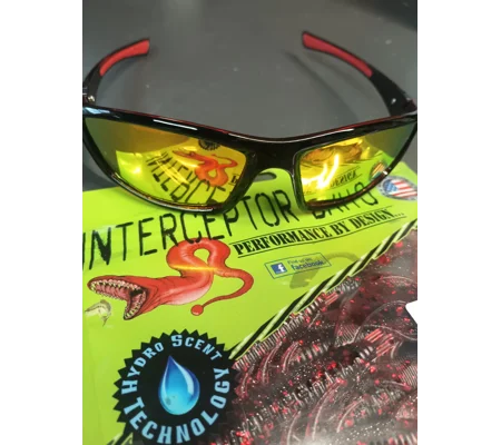 Polarized Sunglasses