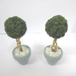 Dolls House Topiary 2 Handmade Miniature Trees in Duck Egg Blue Colour Terracotta Pots 1:12th Scale