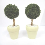 Dolls House Topiary Two Trees in Cream Colour Terracotta Pots Miniature Garden Plants 1:12th Scale