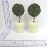 Dolls House Topiary Two Trees in Cream Colour Terracotta Pots Miniature Garden Plants 1:12th Scale