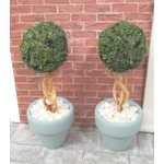 Dolls House Topiary 2 Handmade Miniature Trees in Duck Egg Blue Colour Terracotta Pots 1:12th Scale