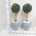 Dolls House Topiary 2 Handmade Miniature Trees in Duck Egg Blue Colour Terracotta Pots 1:12th Scale