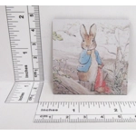 Dolls House Miniature Nursery Picture Peter Rabbit 1:12 Scale Wall Decor