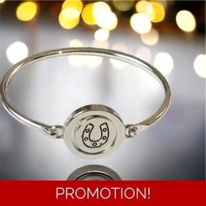 HorseShoe Charm Horse Bracel..