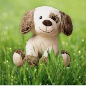 Puppy Dog Soft Plush Toy Flu..