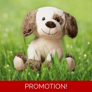 Puppy Dog Soft Plush Toy Flu..