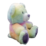 Fiesta Toys Rainbow Sherbet Plush Teddy Bear 10"
