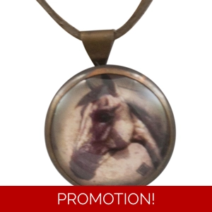 Rebecca Ray Equestrian Grey ..