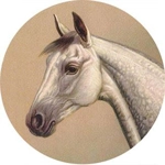 Rebecca Ray Equestrian Grey Horse Rosette Pendant Brown Necklace, 19"