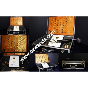 Atlas Pro 18 Electrode ..