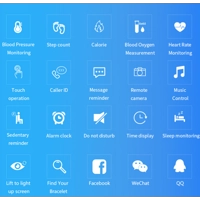 FitStep FS1Q Fitness Tracker with Cardiovascular Monitoring