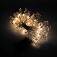 36 LED Photo Clip String Lights