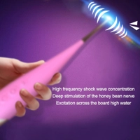 Maria - 7 Speed Vibrator - 3 Interchangeable Heads- USB Rechargeable Bullet Egg Kegel Balls