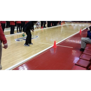 Bubba Bocce Official Size and Weight Indoor Soft Bocce Ball Set - 107 mm, 920 gr