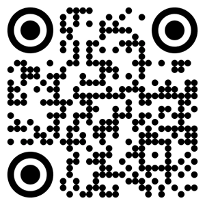 Portable Inflatable 60 ft x 12 ft Indoor/Outdoor Bocce Court