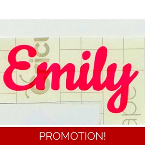 Personalised Decal Sticker in most colours adhesive