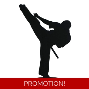 Silhouette Art : Martial Arts, Karate, Kung Fu Figure approx 25cm