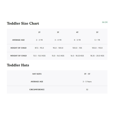 Roots Toddler Ski Patch T-shirt