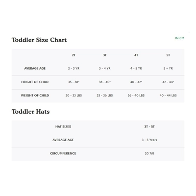 Roots Toddler Ski Patch T-shirt