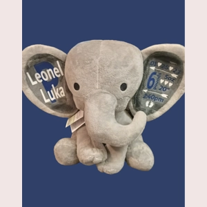 Birth Elephant