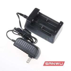 Dual Channels Li-ion ba..