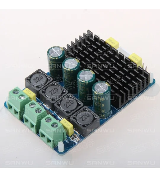 2XTPA3116 2 Channel 2X100W PBTL Digital Stereo High Power Amplifier