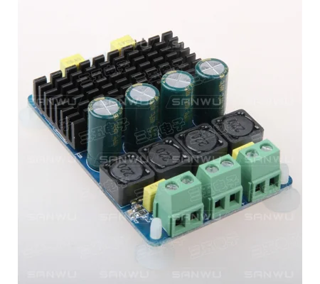 2XTPA3116 2 Channel 2X100W PBTL Digital Stereo High Power Amplifier