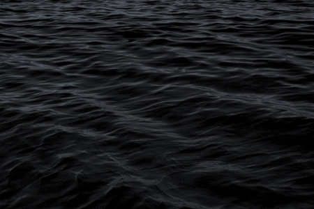 Leviathan's Black Pearl Leviathan's Black Pearl