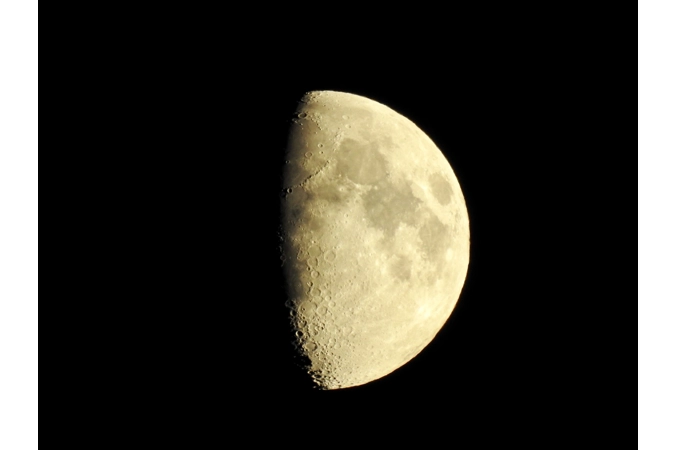 Artemis' Moonblessed Werebeast