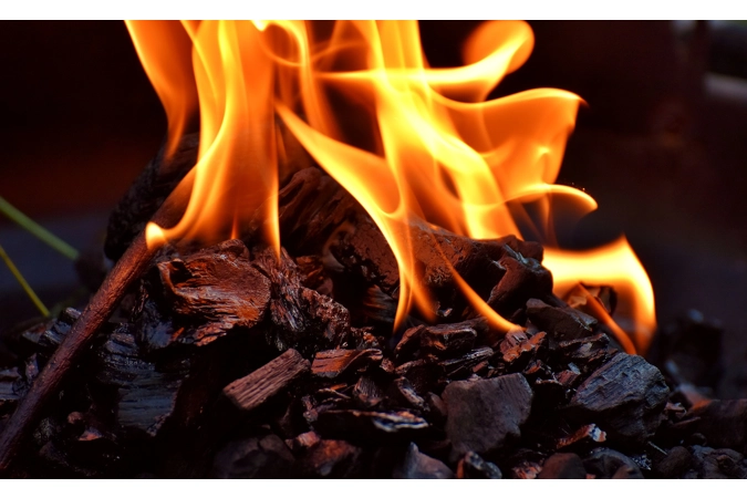 Hestia's Firelight Wanderer